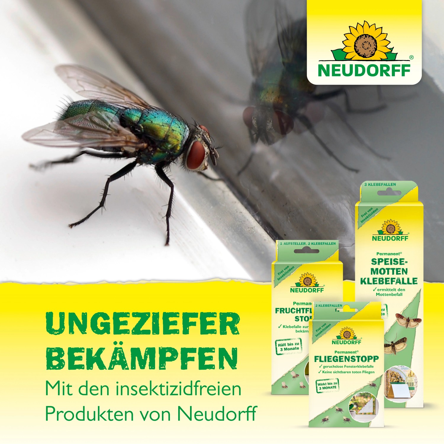 Neudorff Silberfischchenstopp: Klebefallen gegen Silberfische, Schaben und Kellerasseln. Insektizidfrei.