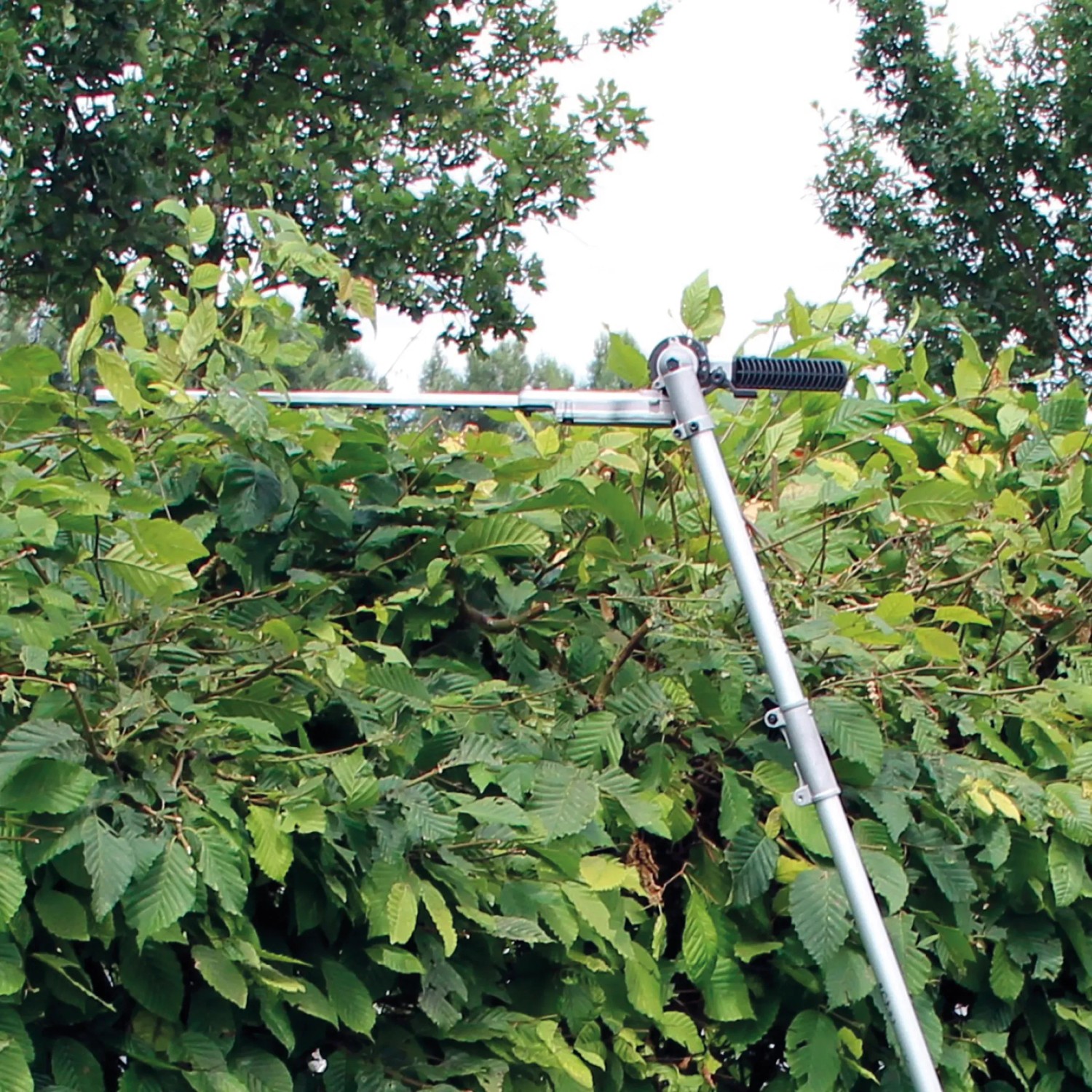 Einhell GC-MM 52 I AS Benzin-Multifunktionswerkzeug als Heckenschere im Einsatz.