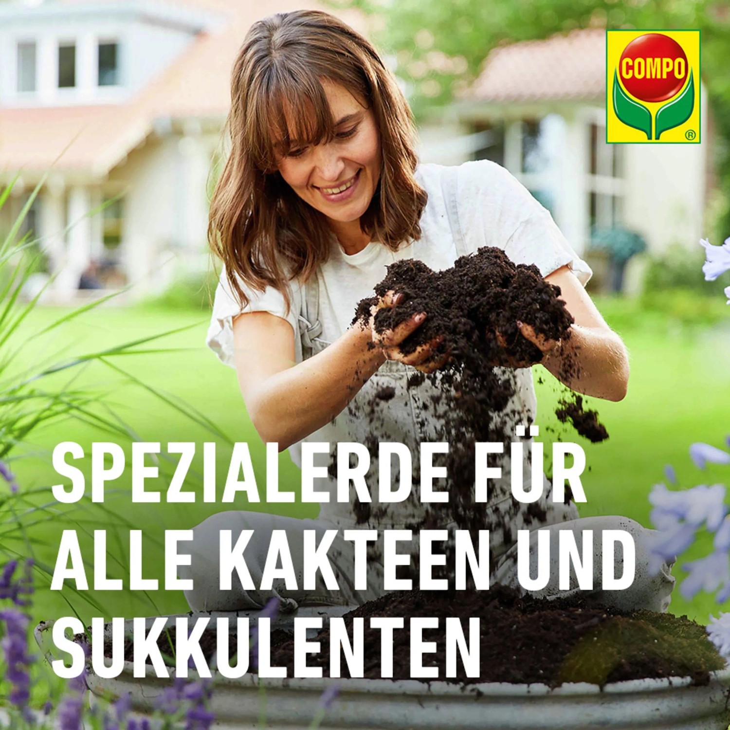 Compo Cactea Kakteen- und Sukkulentenerde 10 l_6