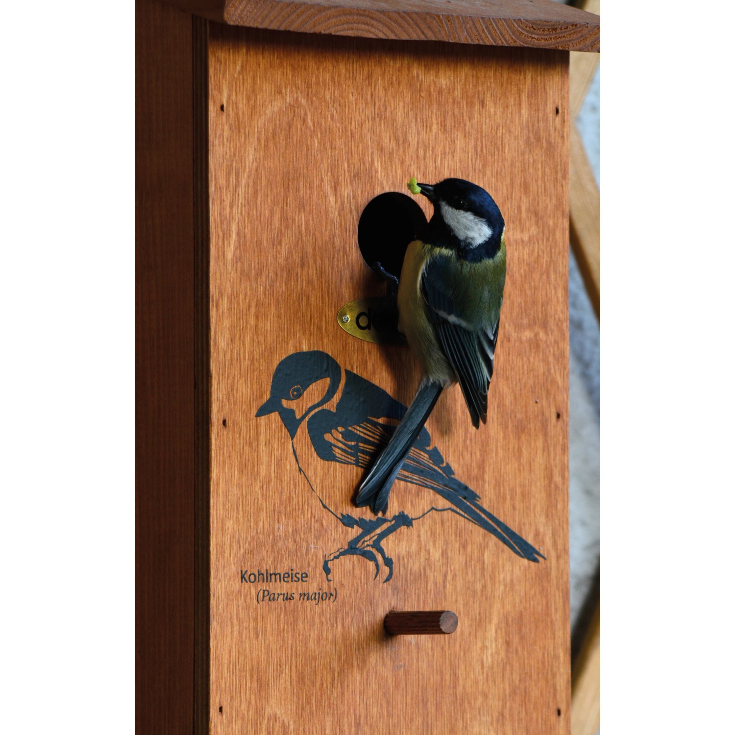 Dobar Nistkasten mit Kohlmeise und Siebdruckmotiv. Vogelhaus aus Kiefernholz mit Einflugloch.