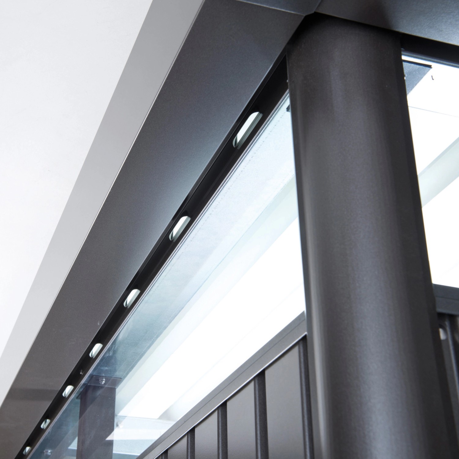 Detailansicht: Biohort HighLine Gerätehaus, dunkelgrau-metallic, mit Oberlichtern.