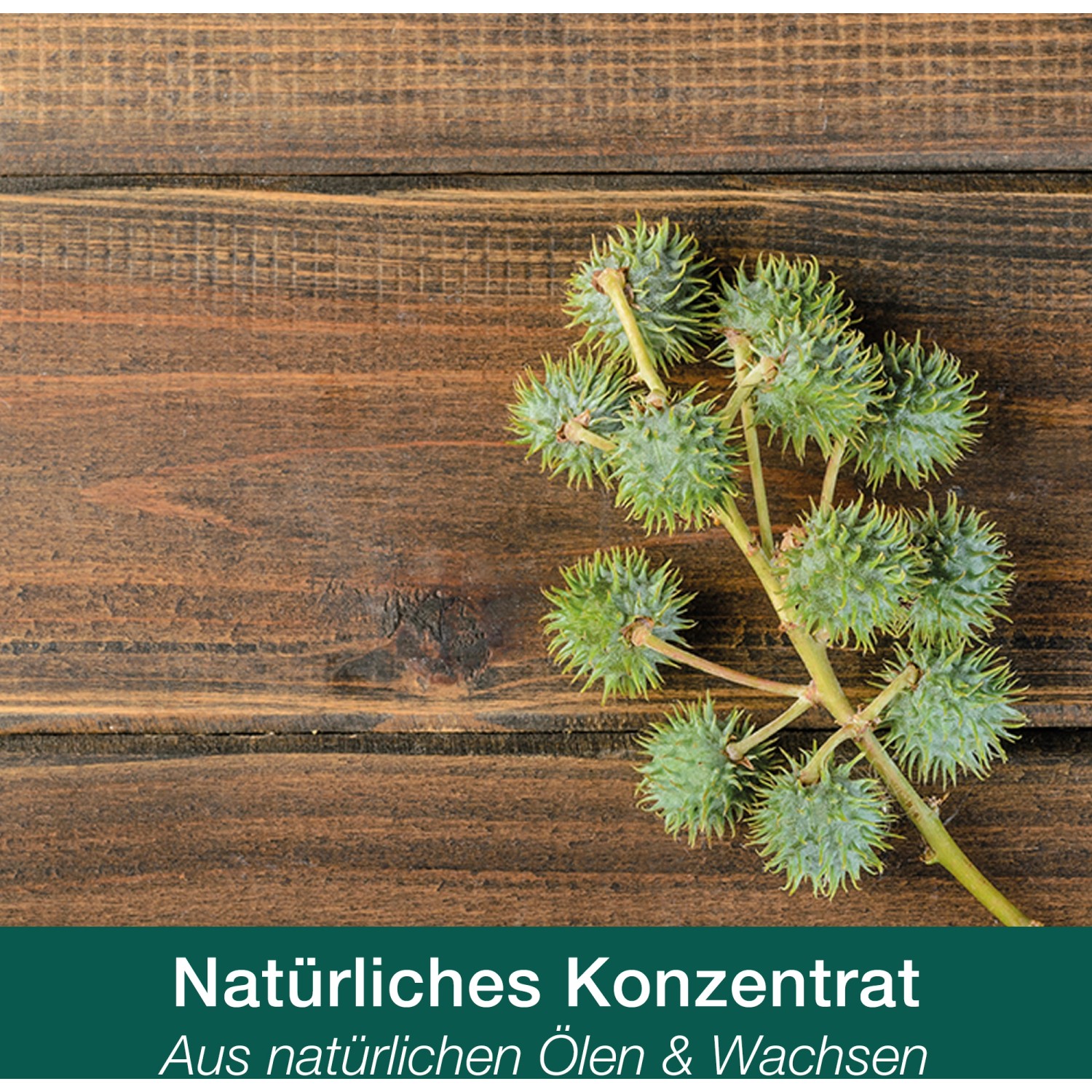 Bona Home Hartwachsöl Pflege auf Holz, mit Pflanzendetail. Holzpflege für geölte Oberflächen.