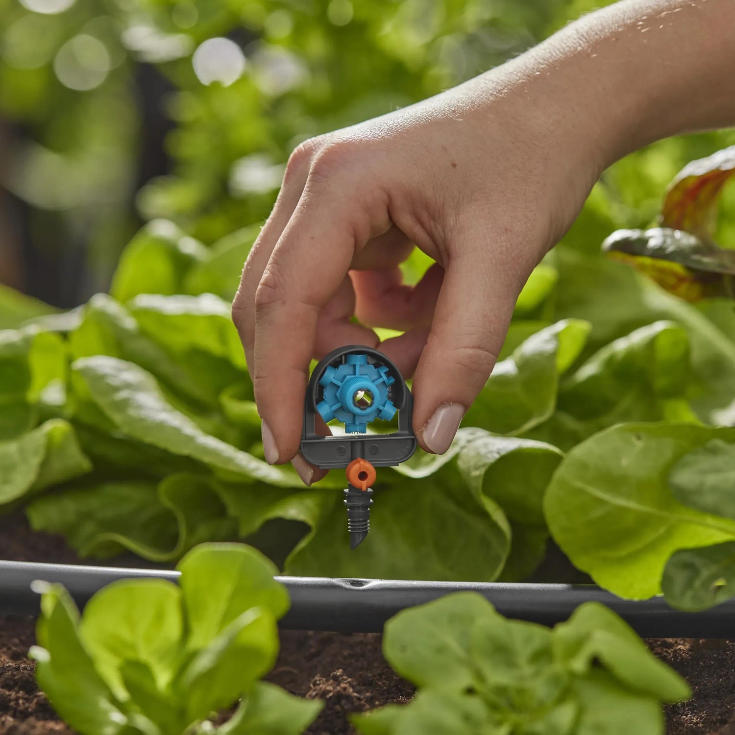 Gardena 6 in 1 Sprühdüse im Einsatz zur flexiblen Bewässerung im Micro-Drip-System.