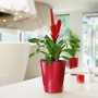 Lechuza Deltini Pflanzgefäß, scarlet rot, Ø 14cm, mit roter Pflanze im modernen Ambiente.
