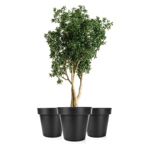BigDean 3X Blumentopf XXL Durchmesser 60 Cm Classic Anthrazit Mit 360 Grad Rollen Wiederverschließbarer Wasserablauf Wetterfester Kunststoff