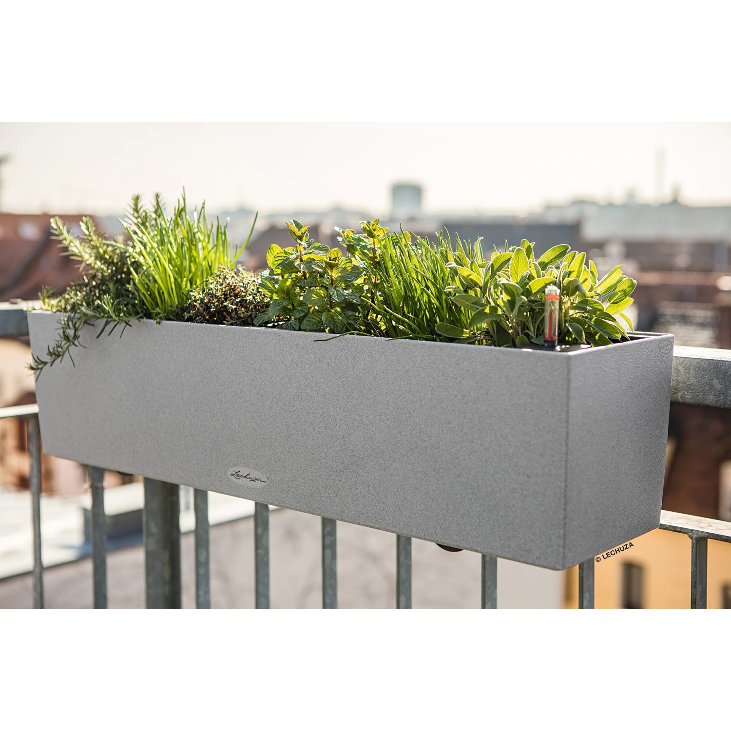 Lechuza Balconera Stone 80, steingrauer Blumenkasten mit Bepflanzung auf einem Balkon.