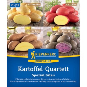 Kiepenkerl Pflanzkartoffel Quartett mit 4 Sorten: Bernina, Laura, La Ratte, Blaue St. Galler.
