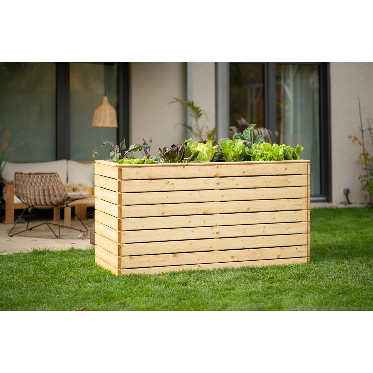 Westmann Hochbeet XL aus Fichte, bepflanzt mit Salat, im Garten. Holz-Hochbeet für rückenschonendes Gärtnern.