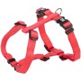 Lachsfarbenes Jollypaw H-Geschirr aus Gurtband, verstellbar von 30-40 cm, für Hunde.