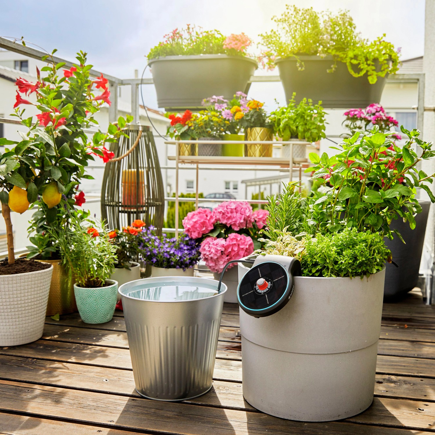 Gardena Aqua Bloom Solar-Bewässerungsset auf Balkon mit Pflanzen und Eimer.