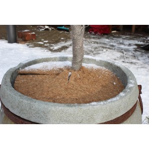 Videx Garden Kokosscheibe (Ø 45cm) im Topf, schützt vor Frost und reduziert Verdunstung.