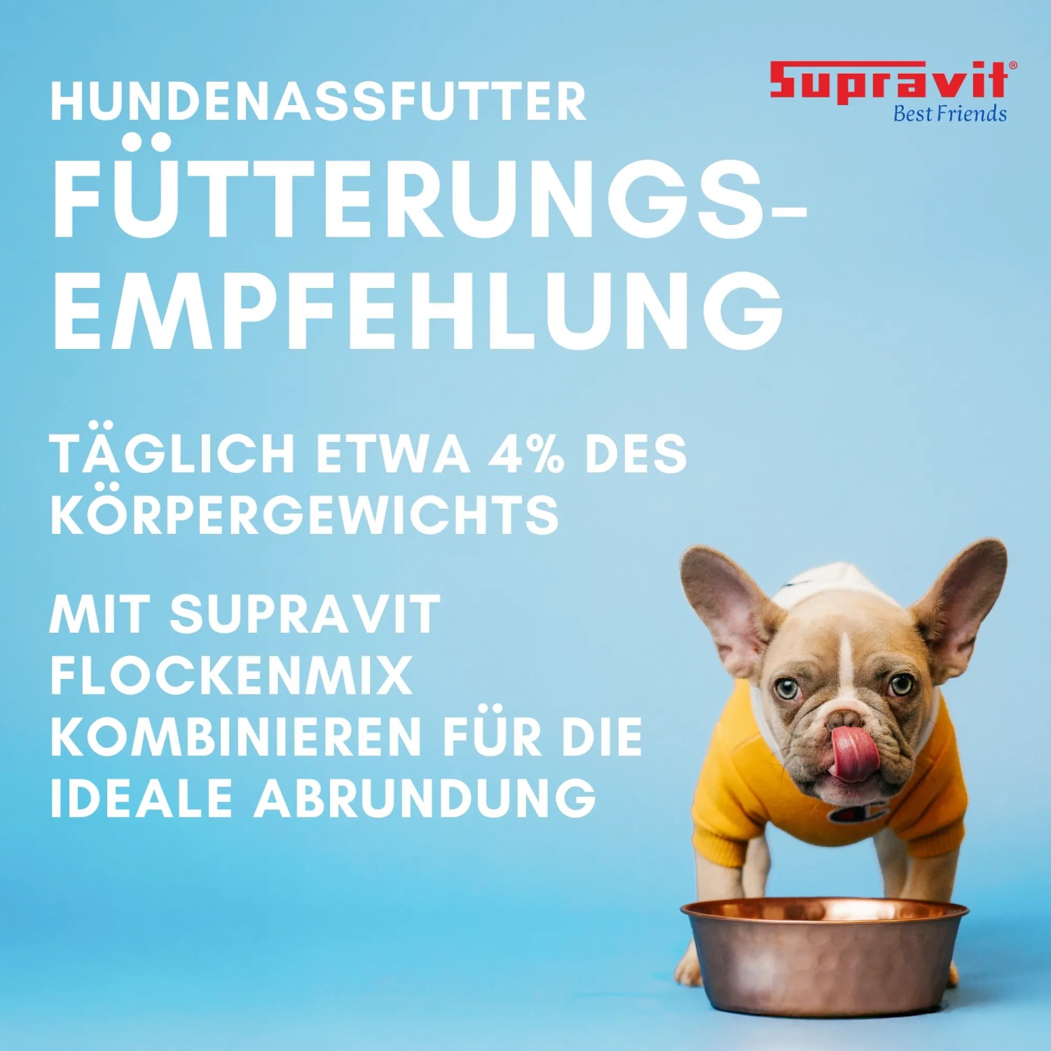 Hund in gelbem Pullover vor Fütterungsempfehlung für Supravit Nassfutter mit Pferd. Leere Futterschale.