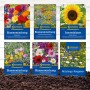 Blumensamen-Set für Nützlinge: Blütenmischungen, Sonnenblume und Ratgeber für den Garten.