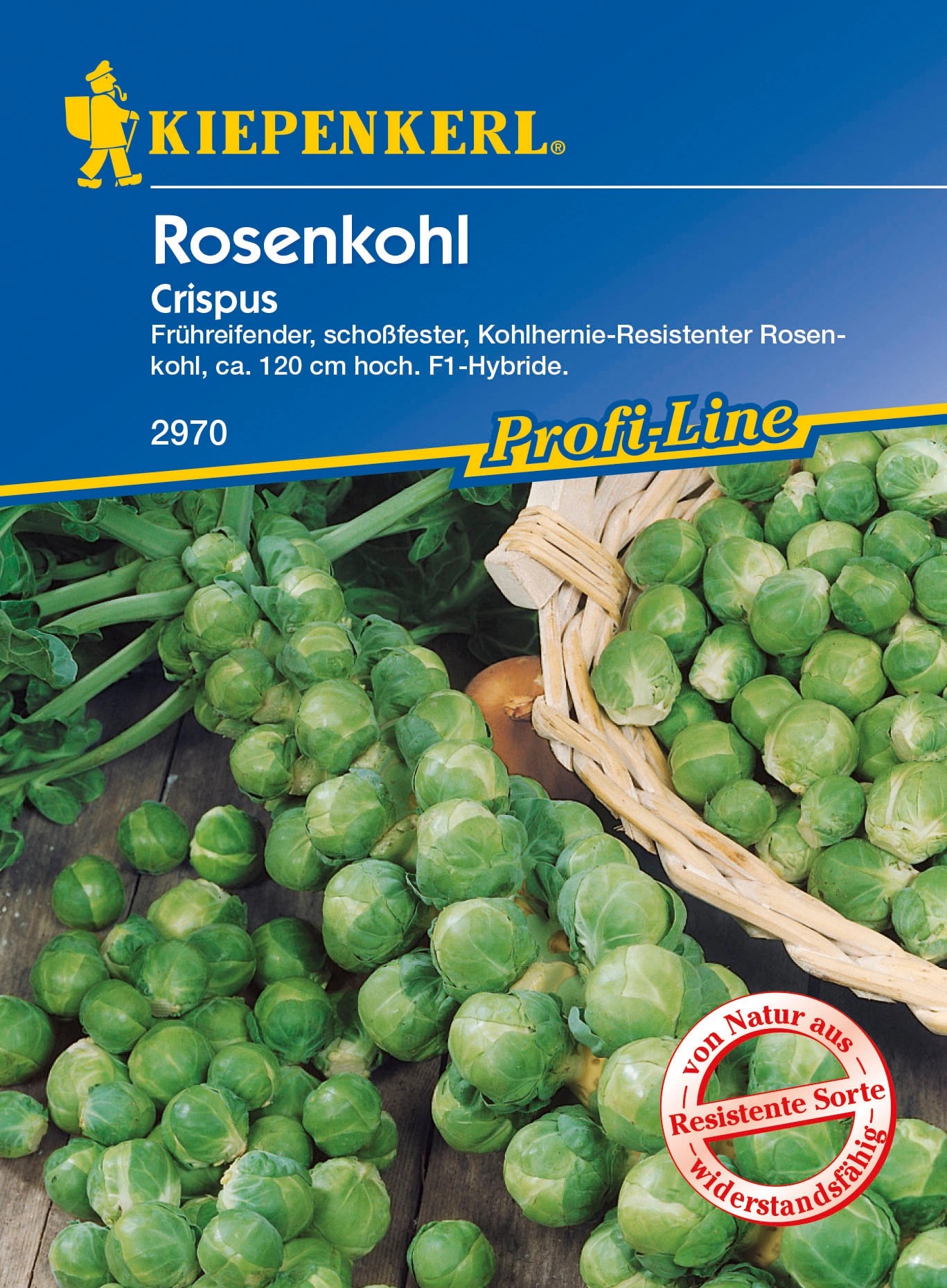 Kiepenkerl ProfiLine Rosenkohl "Crispus" kaufen bei OBI