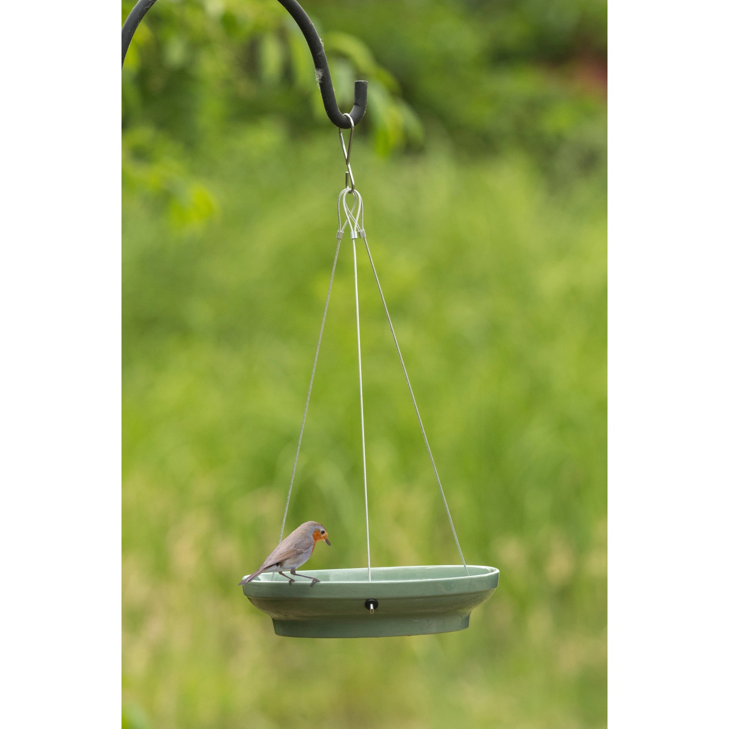 Hängende, grüne CJ Wasserschale Vesi als Vogeltränke mit Vogel im Garten.