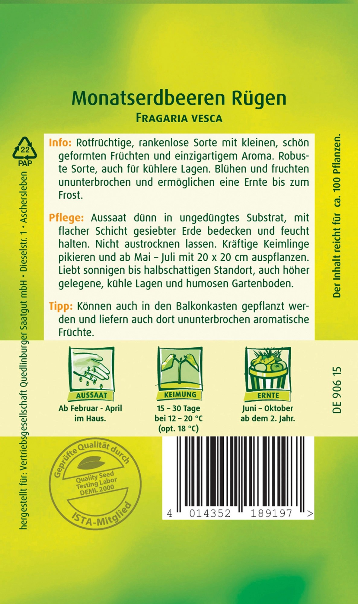 Quedlinburger Monatserdbeere ''Rügen'' kaufen bei OBI