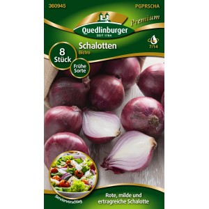Quedlinburger Schalotten 'Biztro', rote, runde Schalotten für den Garten.