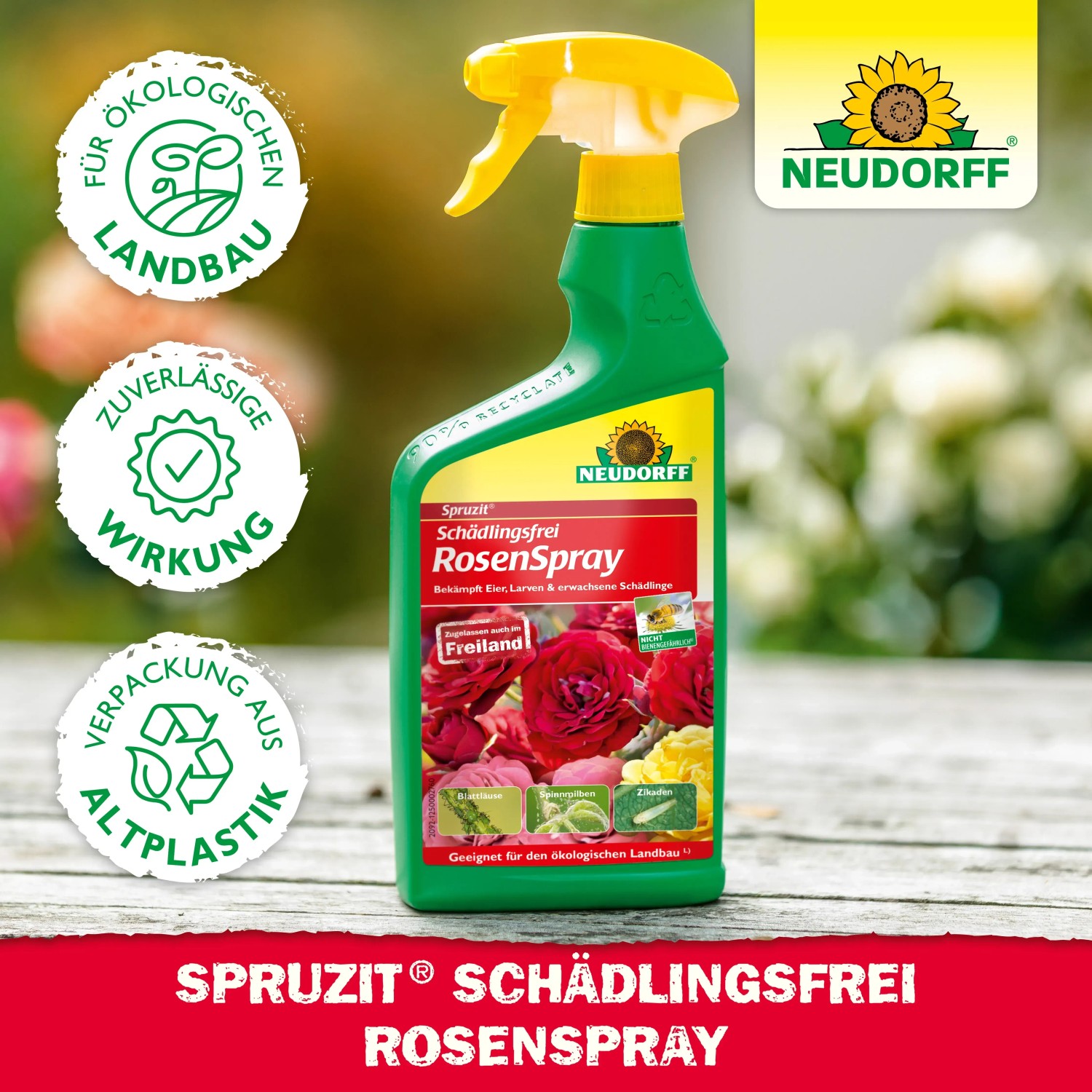 Neudorff Spruzit AF RosenSpray 750ml zur Schädlingsbekämpfung an Rosen und Zierpflanzen.