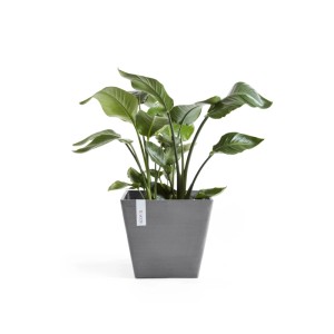 Ecopots Pflanztopf Rotterdam Grau (HxBxT) 26 x 30 x 30 cm