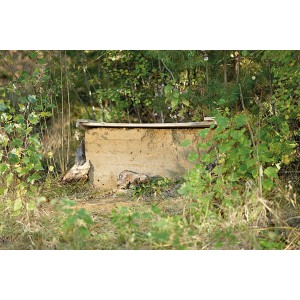 Sandarium für Wildbienen, brauner Sandkasten in natürlicher Umgebung, Lebensraum für Insekten.