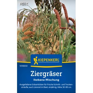 Kiepenkerl Ziergräser "Ikebana Mischung"