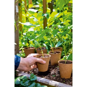 Romberg Anzuchttöpfe (18 Stk.) mit jungen Pflanzen im Gartenbeet.
