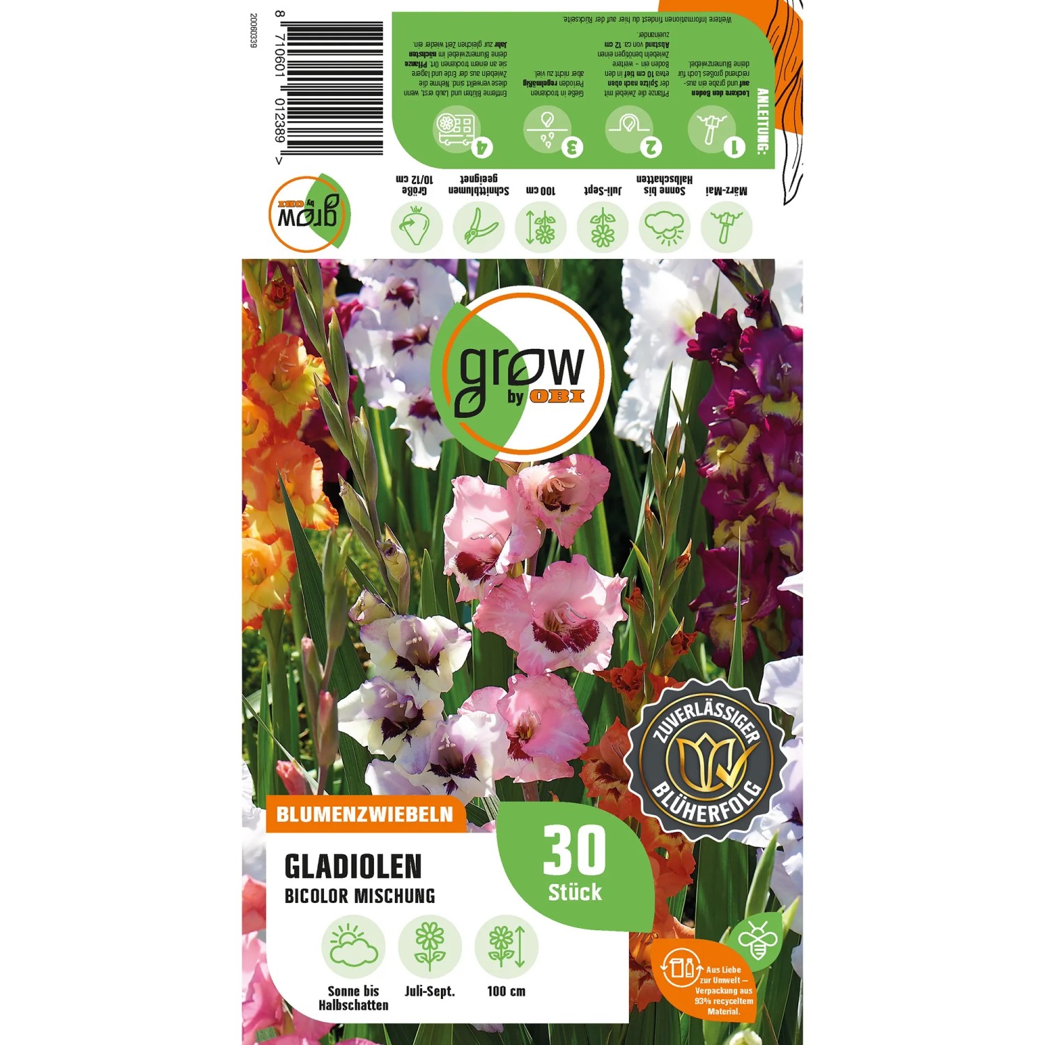 GROW by OBI Gladiolen Bicolor Mischung, Blumenzwiebeln mit farbenfrohen Blüten.