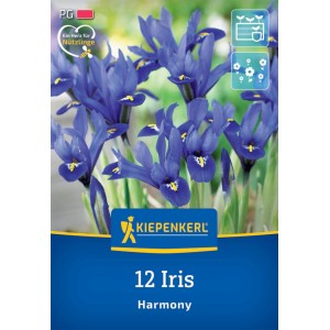 Kiepenkerl Netzblatt-Schwertlilie Harmony, 12 Stück. Blaue Iris Blumenzwiebeln für den Garten.