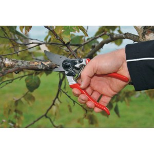 Felco Gartenschere 8 im Einsatz: Hand schneidet Ast mit der roten Baumschere.