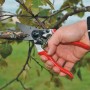 Felco Gartenschere 8 im Einsatz: Hand schneidet Ast mit der roten Baumschere.