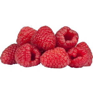 Frische, rote Himbeeren der Sorte GROW by OBI Bio Himbeere TwoTimer® -Sugana® Rot.