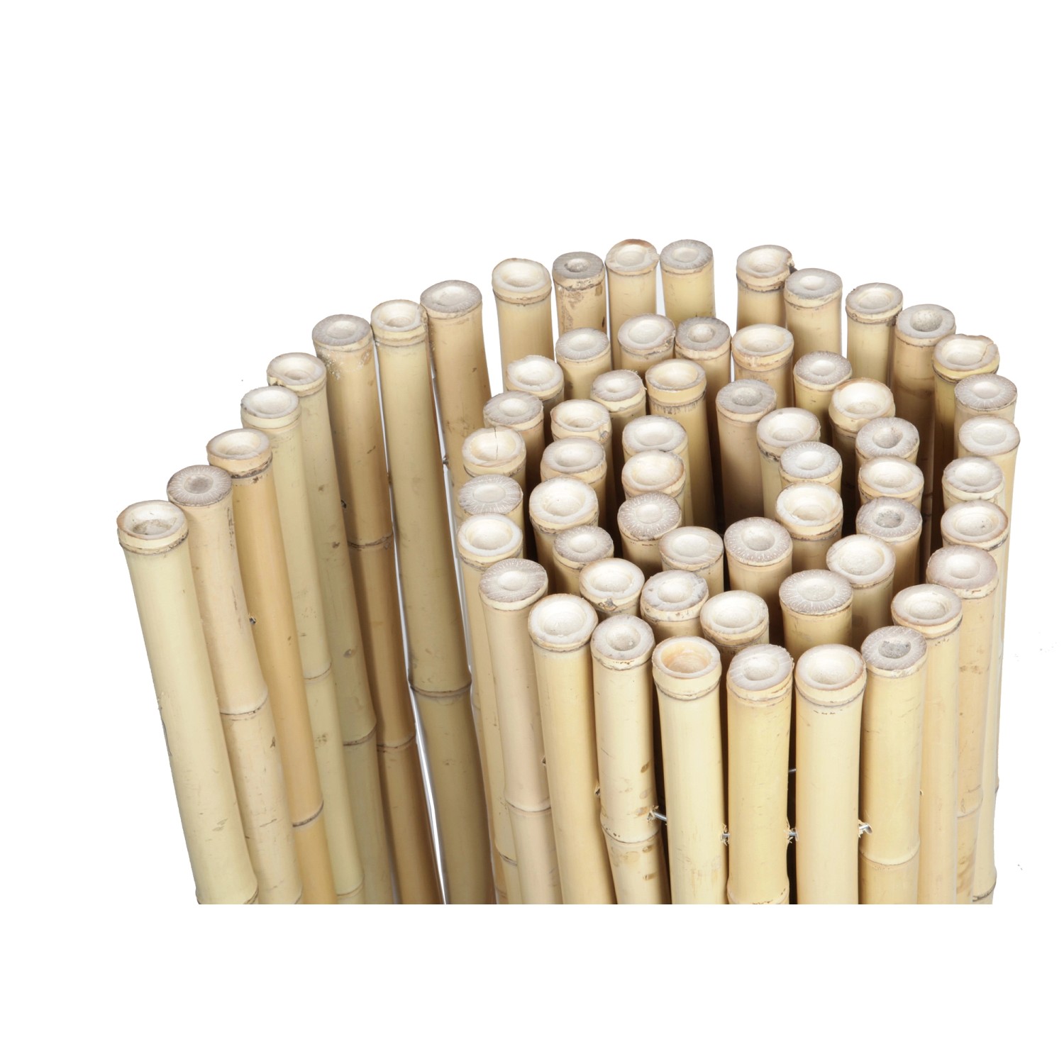 Floraworld Sichtschutz Bambusmatte Gala 150 cm x 300 cm Bambus Hell_2