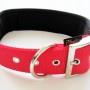 Rotes Heim Hundehalsband (38mm/50cm) mit weichem Neoprenfutter und Metallschnalle.