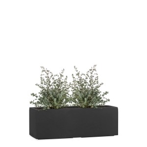 Pflanzwerk Pflanzkübel Tub Premium Frostbeständig 50 cm Anthrazit