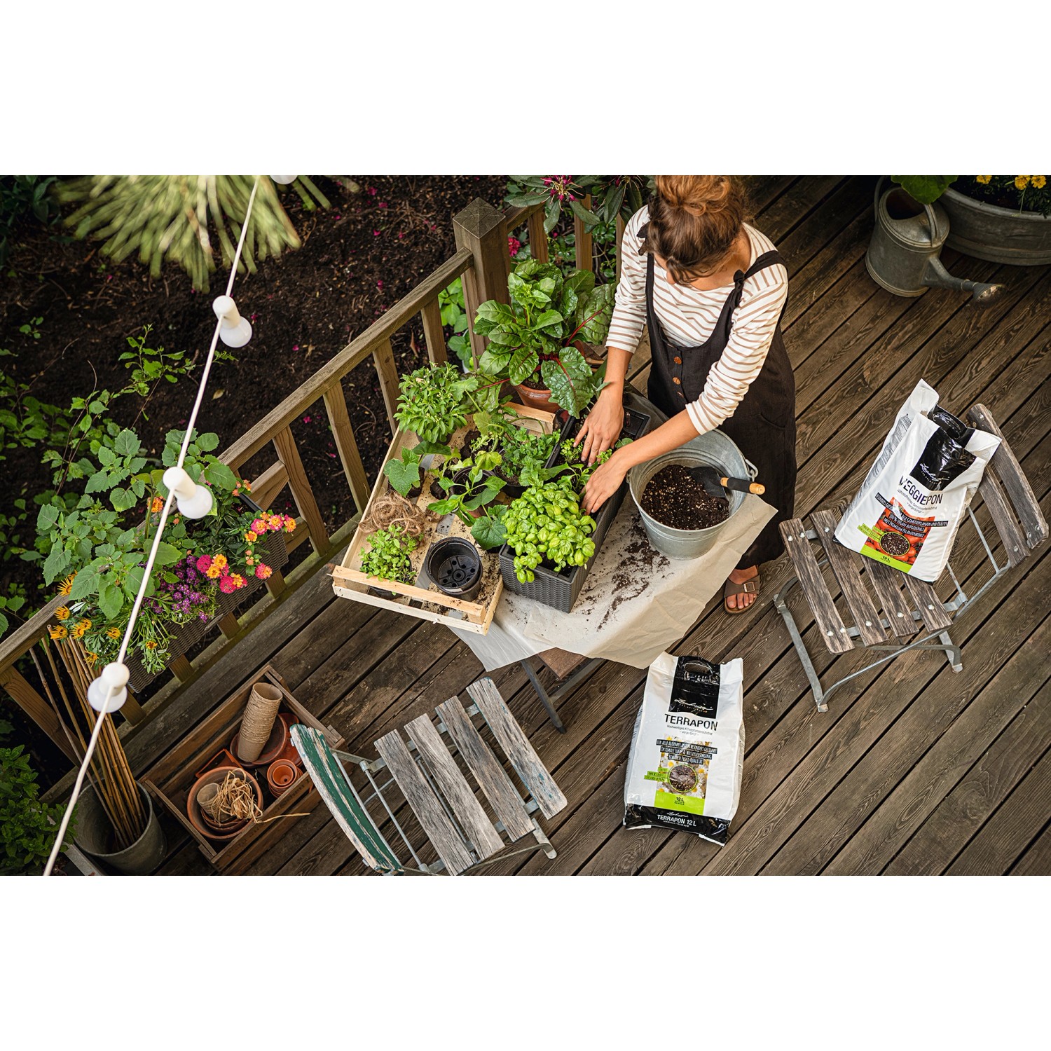 Frau pflanzt Gemüse mit Lechuza Veggiepon Pflanzsubstrat auf dem Balkon.