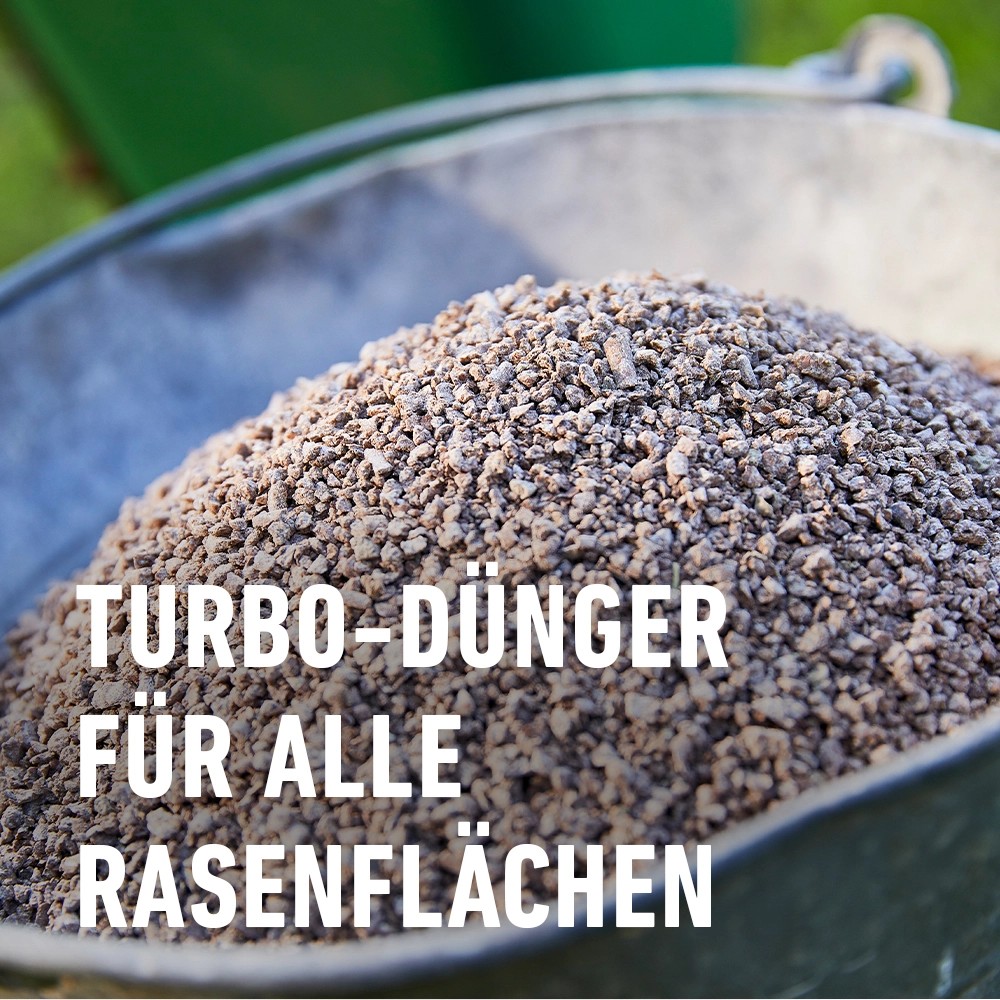 Compo Rasendünger Turbo 5 kg kaufen bei OBI