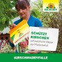 Frau hält Neudorff Kirschmaden-Falle, insektizidfreie Leimfalle zum Schutz von Kirschen.