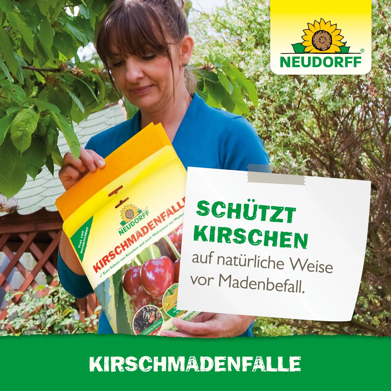 Frau hält Neudorff Kirschmaden-Falle, insektizidfreie Leimfalle zum Schutz von Kirschen.