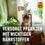 Frau liest mit Compo Blumendünger im Hintergrund. Blumendünger für gesunde Pflanzen.