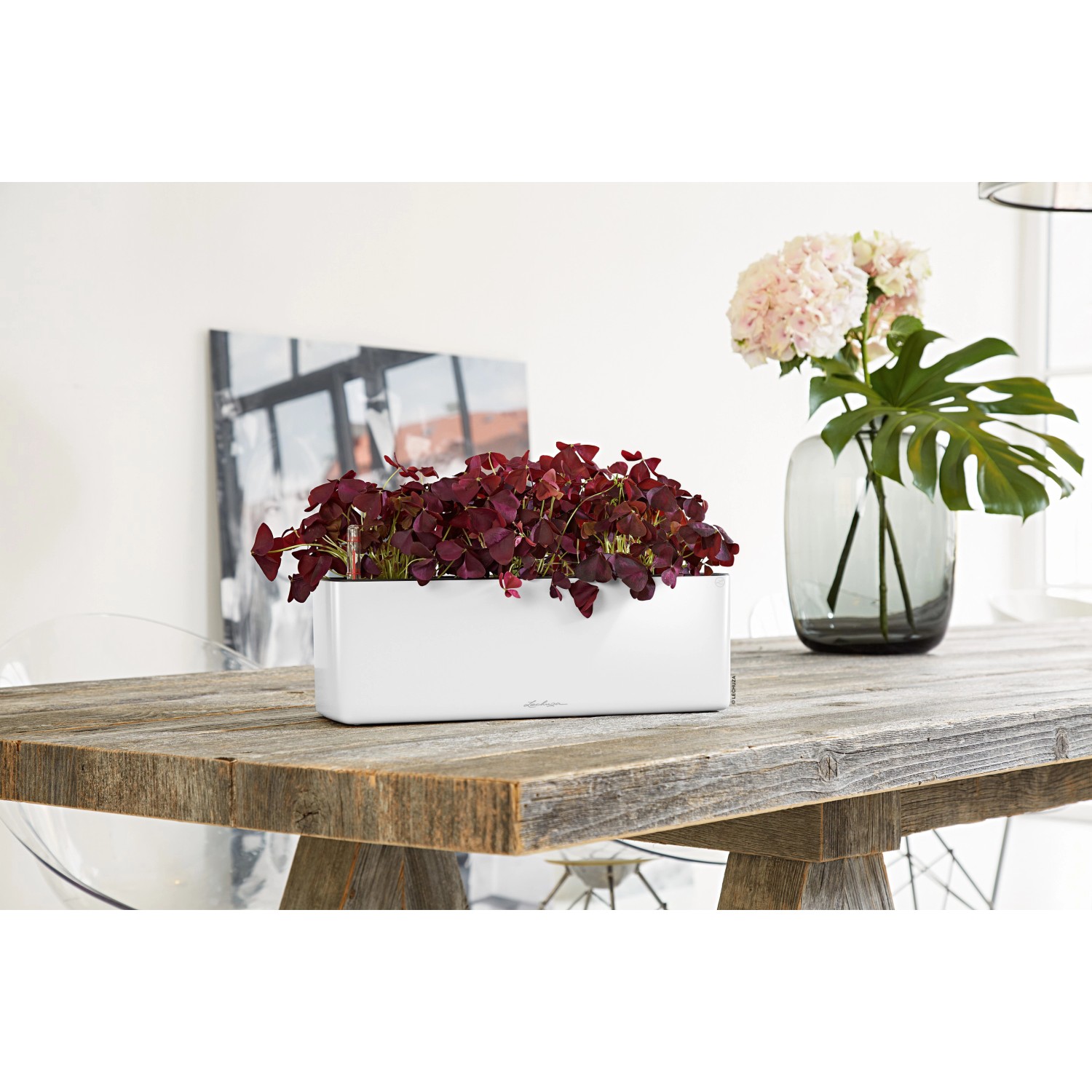 Lechuza Cube Glossy Triple, weißes Pflanzgefäß mit rotem Klee auf Holztisch.