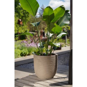 Beiger Capi Europe Kugel Blumentopf Rib NL, Ø 43 cm, mit Pflanze im Außenbereich.