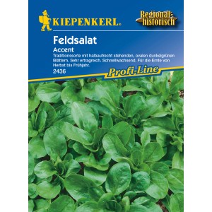 Kiepenkerl Feldsalat "Accent"