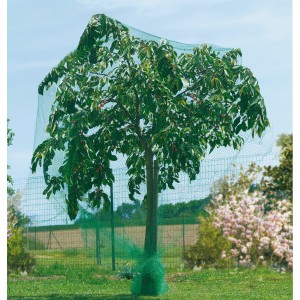 Baum mit grünem Vogelschutznetz Premium 5x2m zum Schutz von Früchten vor Vogelfraß.