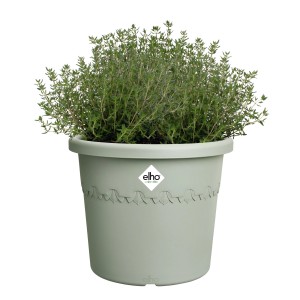 Grüner Elho Blumentopf Algarve Cilindro (Ø 25cm) mit Pflanze.