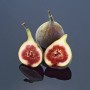 Drei Feigen, davon zwei halbiert, zeigen das rote Fruchtfleisch. GROW by OBI Echte Feige.