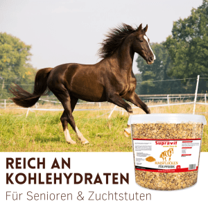 Transparenter Eimer Supravit Maisflocken Pferdefutter neben galoppierendem Pferd. Energiereiches Ergänzungsfutter, reich an Kohlenhydraten.