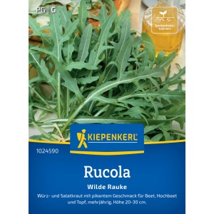 Kiepenkerl Wilde Rauke "Rucola"