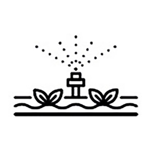 Symbol für Biohort Bewässerungssystem für Hochbeet/Gewächshaus: Pflanzen mit Tropfbewässerung.