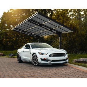 Palram - Canopia Carport Sydney Wave 587 cm x 286 cm Schwarz