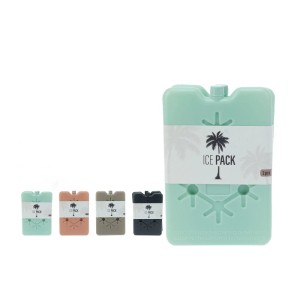 Kühlelement-Set aus PE, 16x10x3cm, 400g, in verschiedenen Farben (Grün, Beige, Grau, Anthrazit) für Camping.